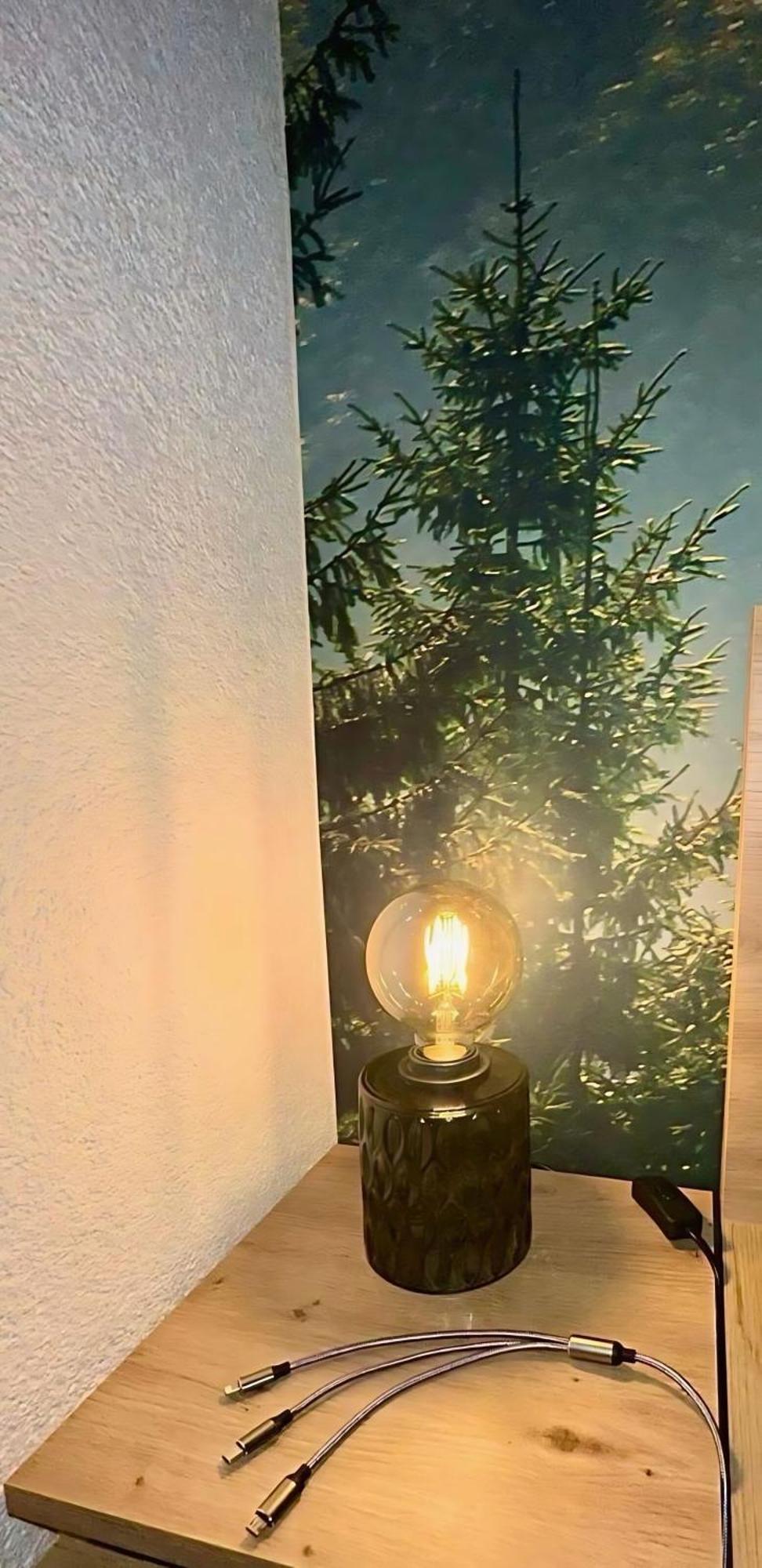 Apartment Schwarzwaldgefluester ゲルンスバッハ エクステリア 写真